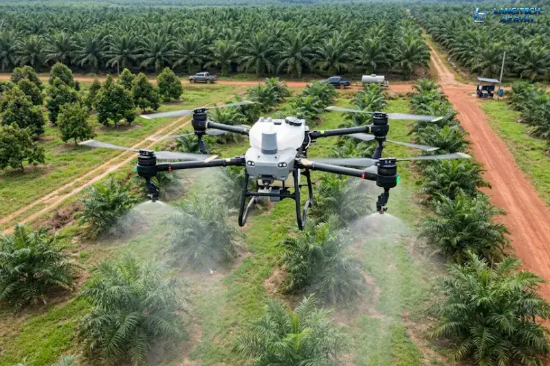 DJI Agras T50 Malaysia agriculture drone operating on a plantation estate