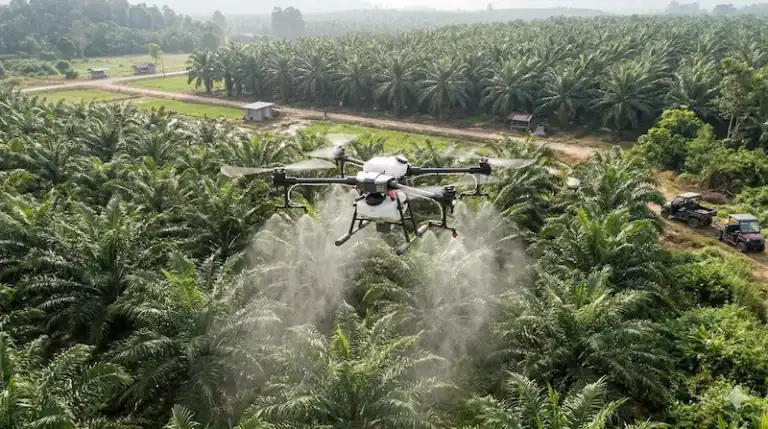 Drone Spraying vs Manual Spraying in Malaysia: Real Numbers, Real ROI