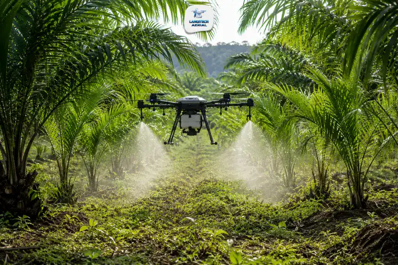 Agriculture drone applying herbicide for weed control between oil palm rows on a Malaysian plantation