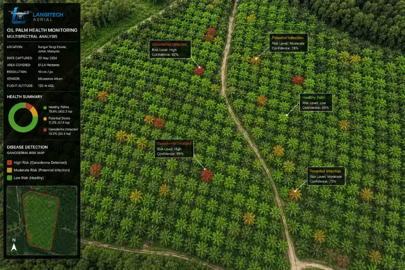 Aerial drone multispectral map of Malaysian oil palm plantation showing Ganoderma BSR disease detection zones