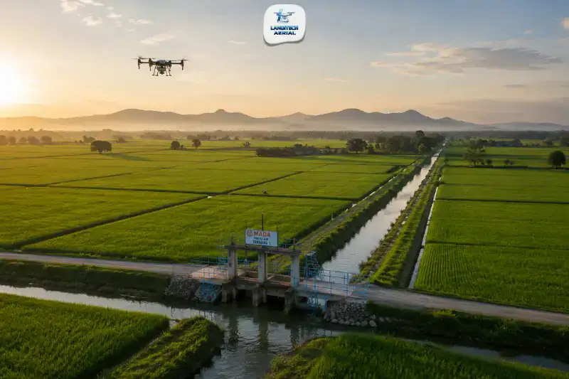 Aerial drone view over Kedah Malaysia MADA paddy fields showing irrigation channels and agriculture drone operations